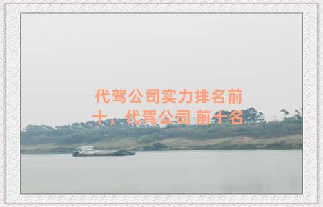 代驾公司实力排名前十，代驾公司 前十名